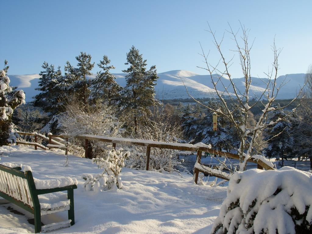 Cairngorm Lodge Youth Hostel Loch Morlich Dış mekan fotoğraf