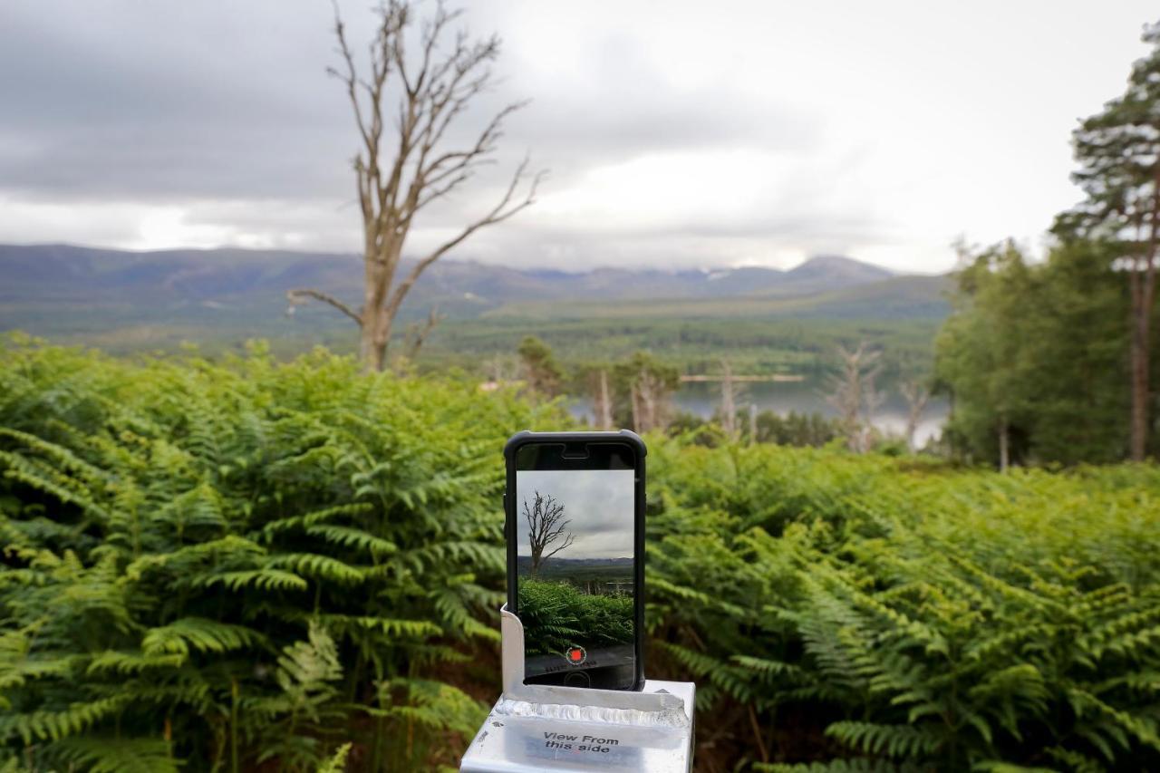 Cairngorm Lodge Youth Hostel Loch Morlich Dış mekan fotoğraf