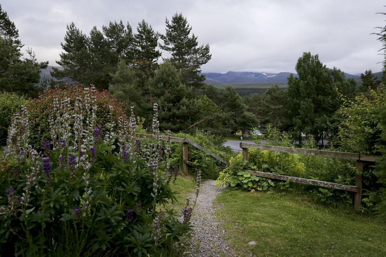 Cairngorm Lodge Youth Hostel Loch Morlich Dış mekan fotoğraf
